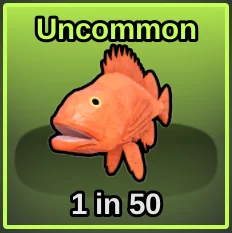 Rockfish