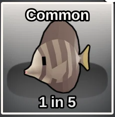 Sail Tang