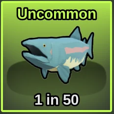 Salmon