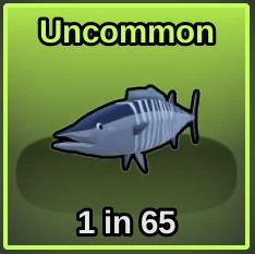 Wahoo