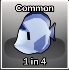 Watanabei Angelfish