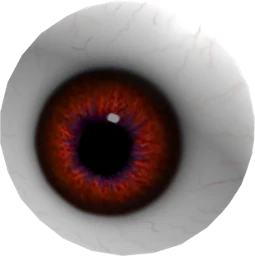 Eyeball