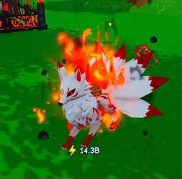Magma