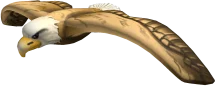 Bald Eagle in Roblox Limiteds