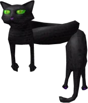 Black Cat Scarf