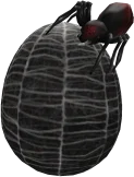 Eggrachnophobia