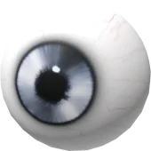 Platinum Eye