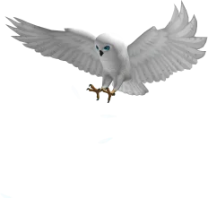 Striking White Owl Shoulder Pet