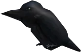 The Raven in Roblox Limiteds
