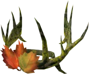 Wanwood Autumn King Crown